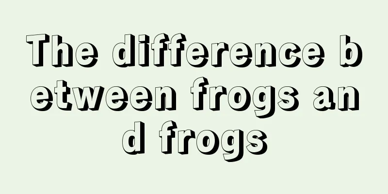 The difference between frogs and frogs