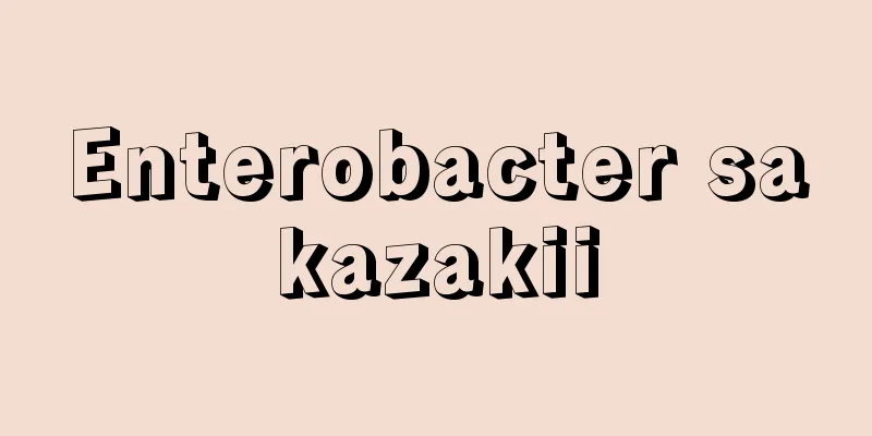 Enterobacter sakazakii