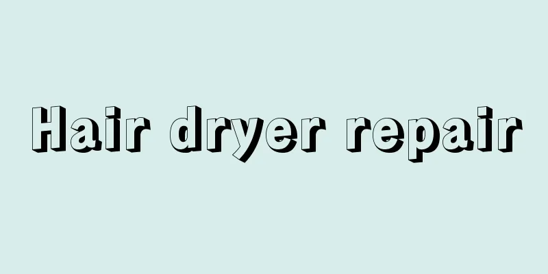 Hair dryer repair
