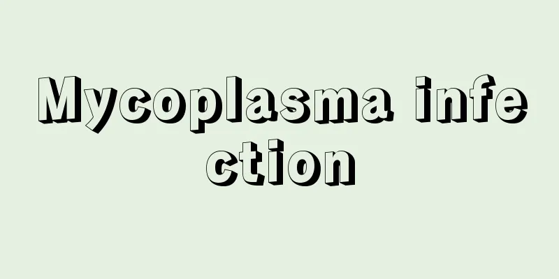 Mycoplasma infection
