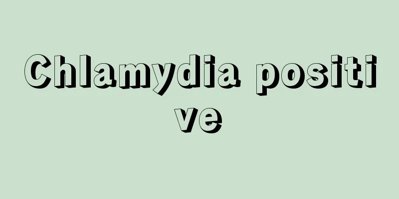 Chlamydia positive