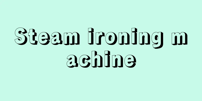 Steam ironing machine