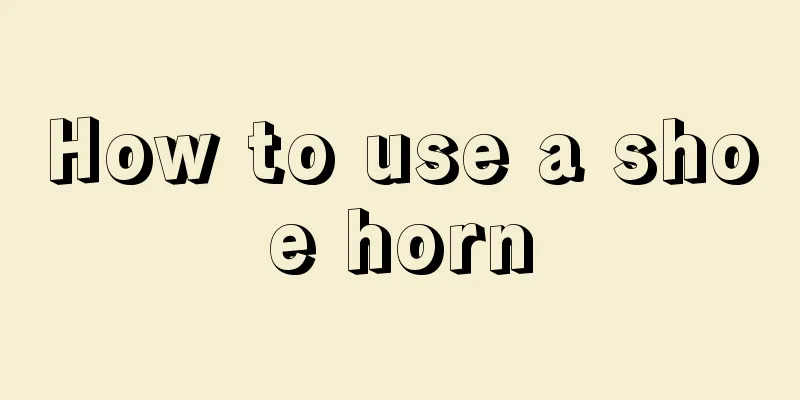 How to use a shoe horn