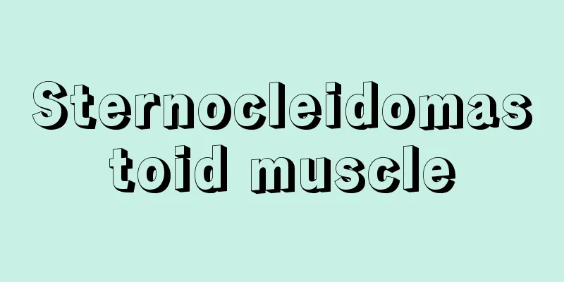Sternocleidomastoid muscle