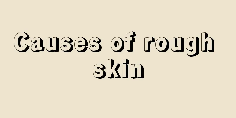 Causes of rough skin