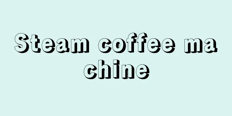 Steam coffee machine