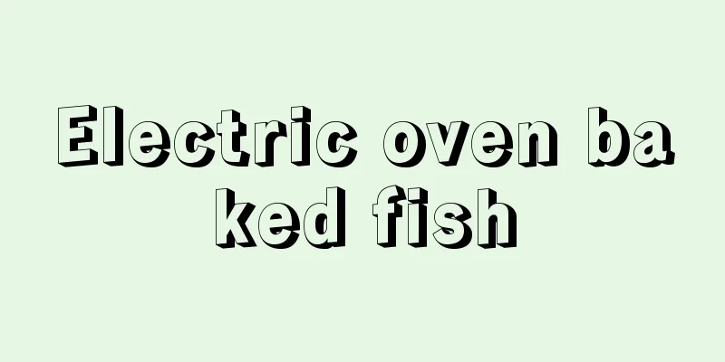 Electric oven baked fish