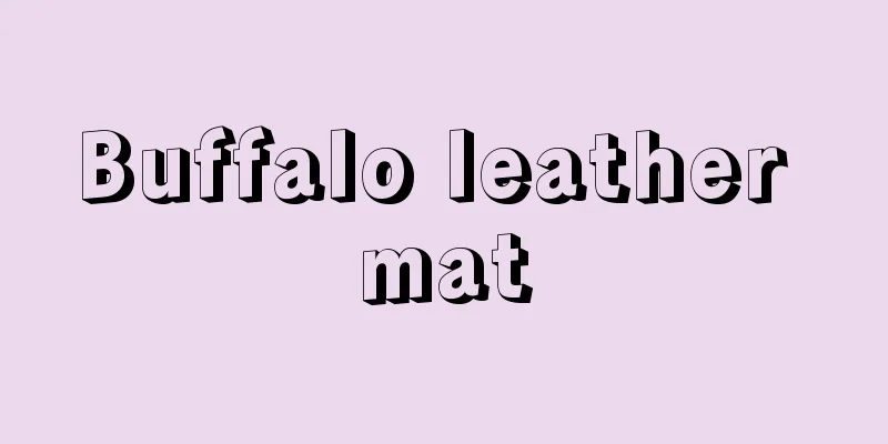 Buffalo leather mat