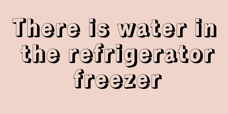 There is water in the refrigerator freezer