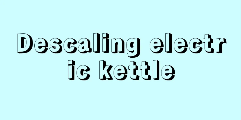 Descaling electric kettle