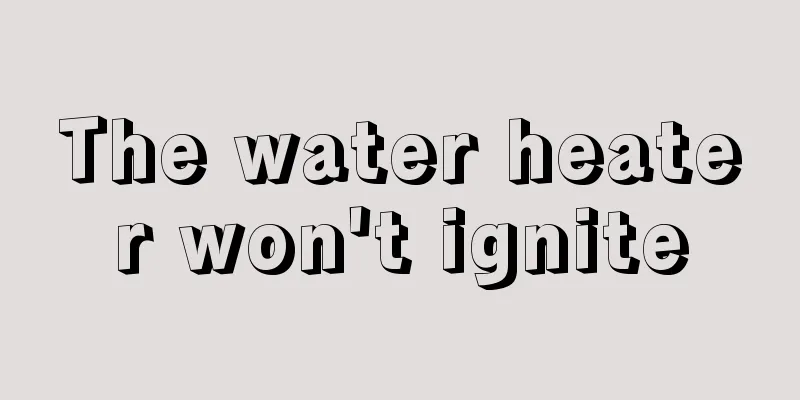 The water heater won't ignite