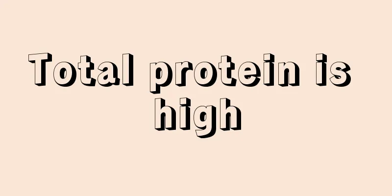 Total protein is high