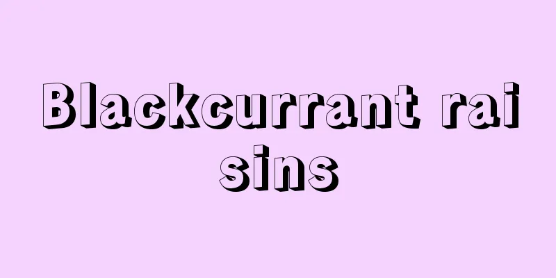 Blackcurrant raisins