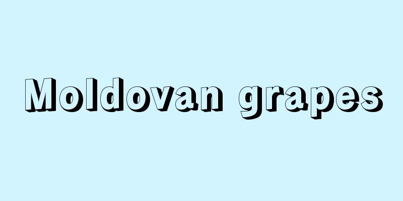 Moldovan grapes