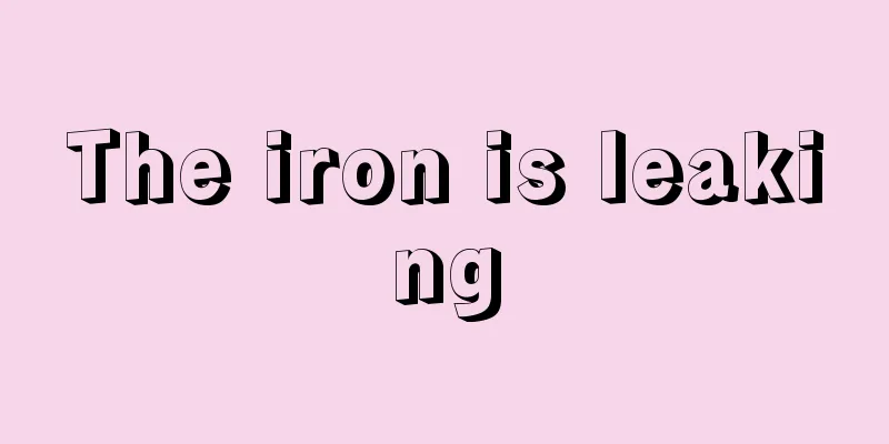 The iron is leaking