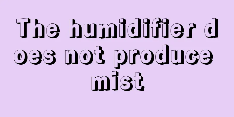 The humidifier does not produce mist