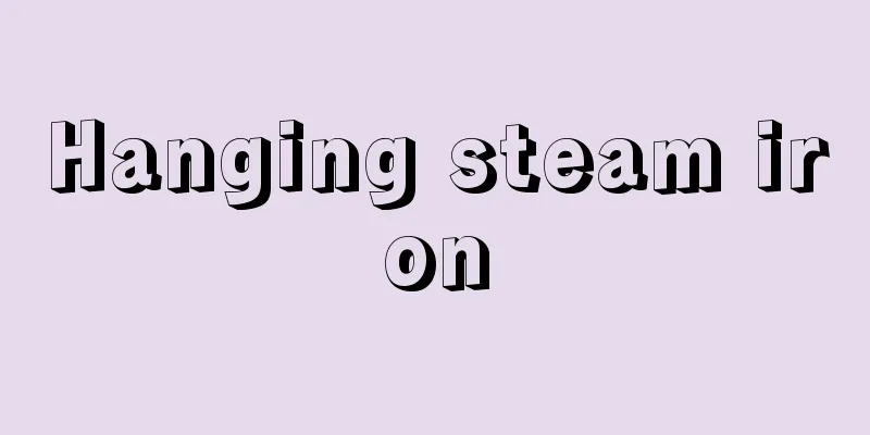 Hanging steam iron