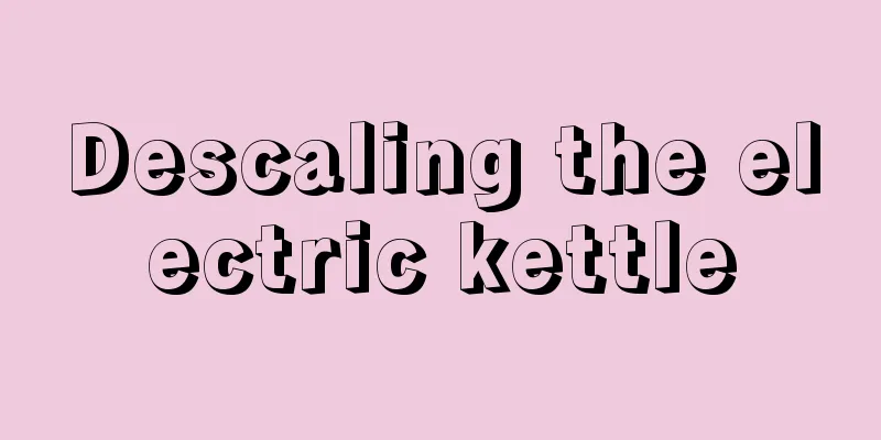 Descaling the electric kettle