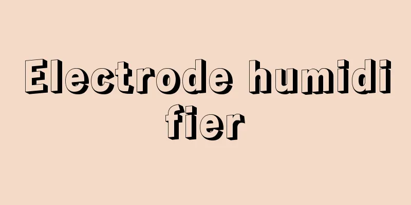 Electrode humidifier