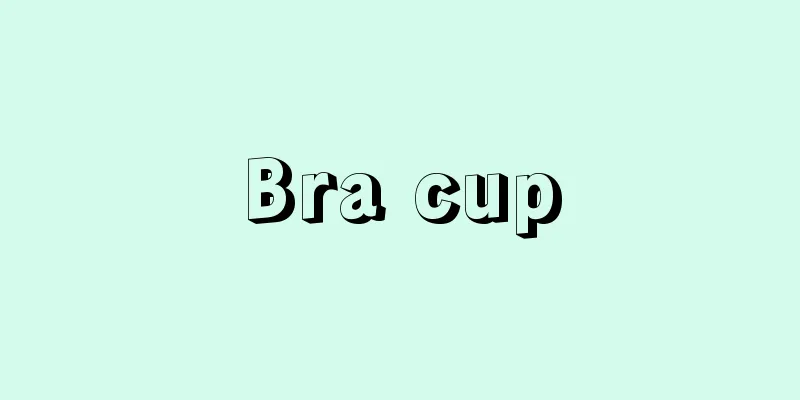 Bra cup