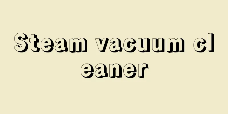 Steam vacuum cleaner
