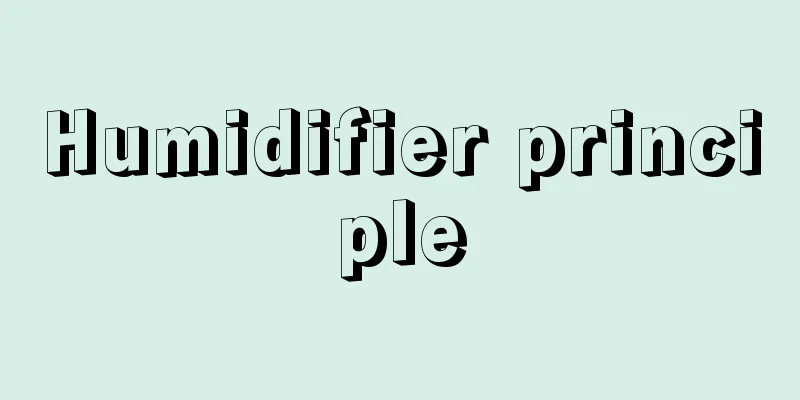 Humidifier principle