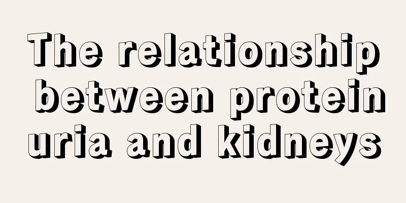 The relationship between proteinuria and kidneys