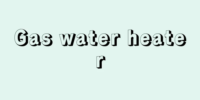 Gas water heater
