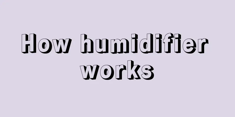 How humidifier works