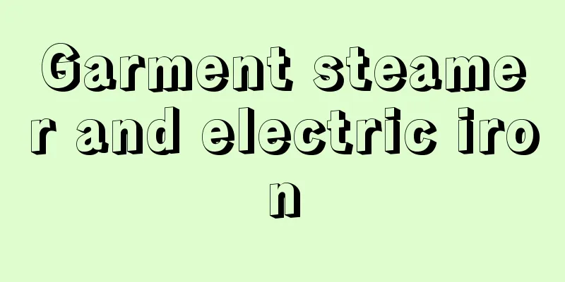 Garment steamer and electric iron