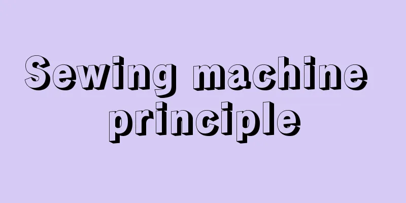 Sewing machine principle