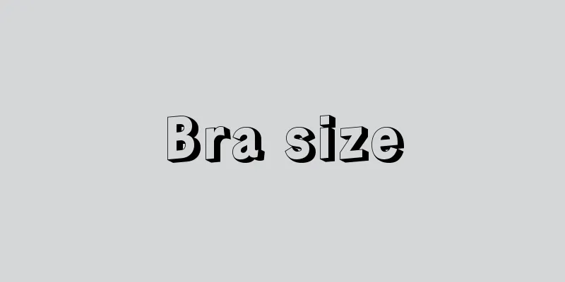 Bra size