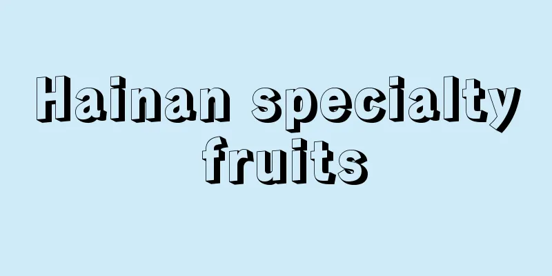 Hainan specialty fruits