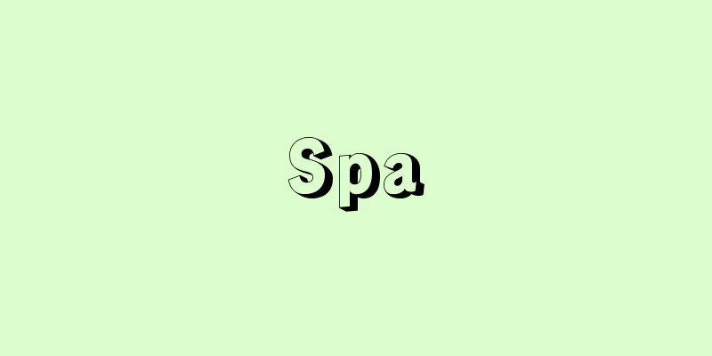 Spa