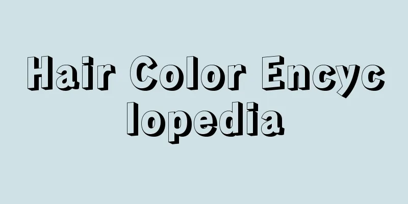 Hair Color Encyclopedia
