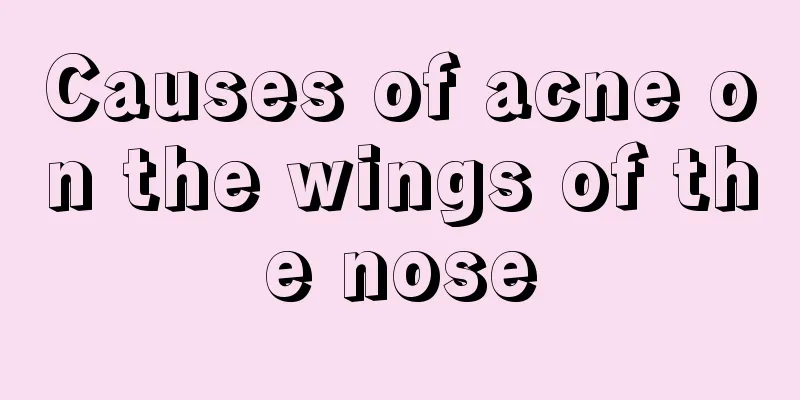 Causes of acne on the wings of the nose