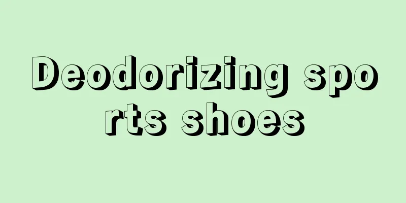 Deodorizing sports shoes