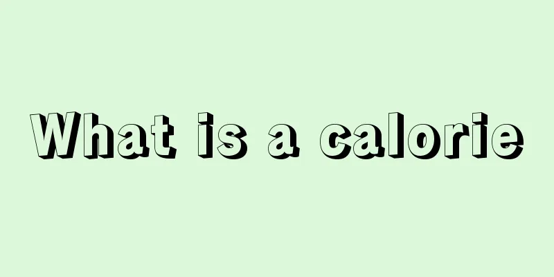 What is a calorie