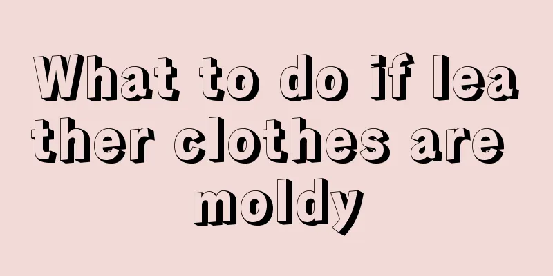 What to do if leather clothes are moldy