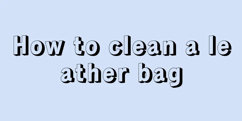 How to clean a leather bag