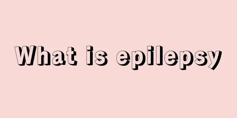 What is epilepsy