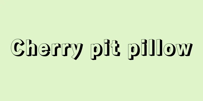 Cherry pit pillow