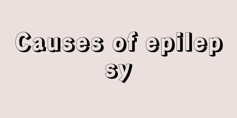 Causes of epilepsy