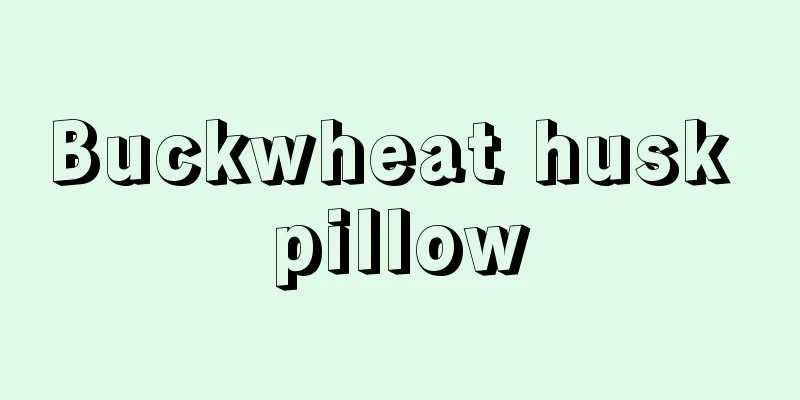 Buckwheat husk pillow
