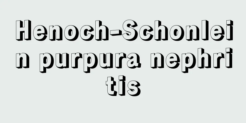 Henoch-Schonlein purpura nephritis