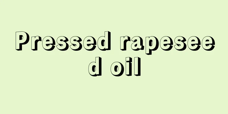 Pressed rapeseed oil