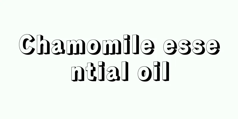 Chamomile essential oil