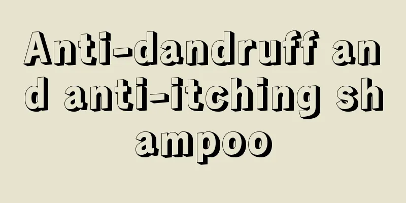 Anti-dandruff and anti-itching shampoo