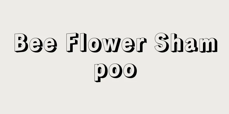 Bee Flower Shampoo