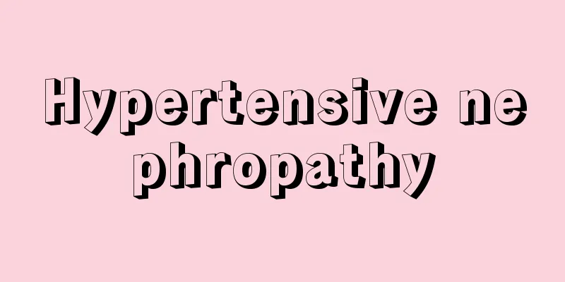 Hypertensive nephropathy
